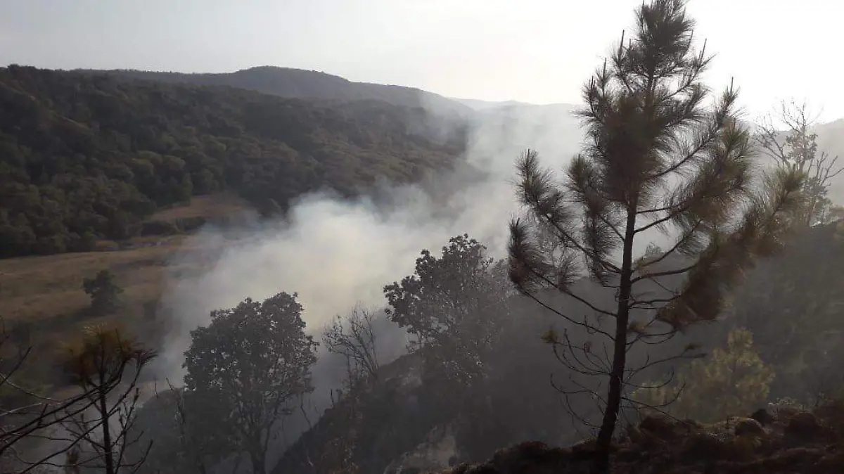 Incendio polígono Bosque de la Primavera