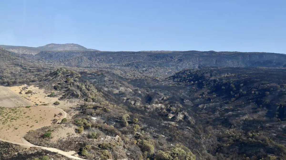 Se extingue el incendio en el paraje Los Volcanes