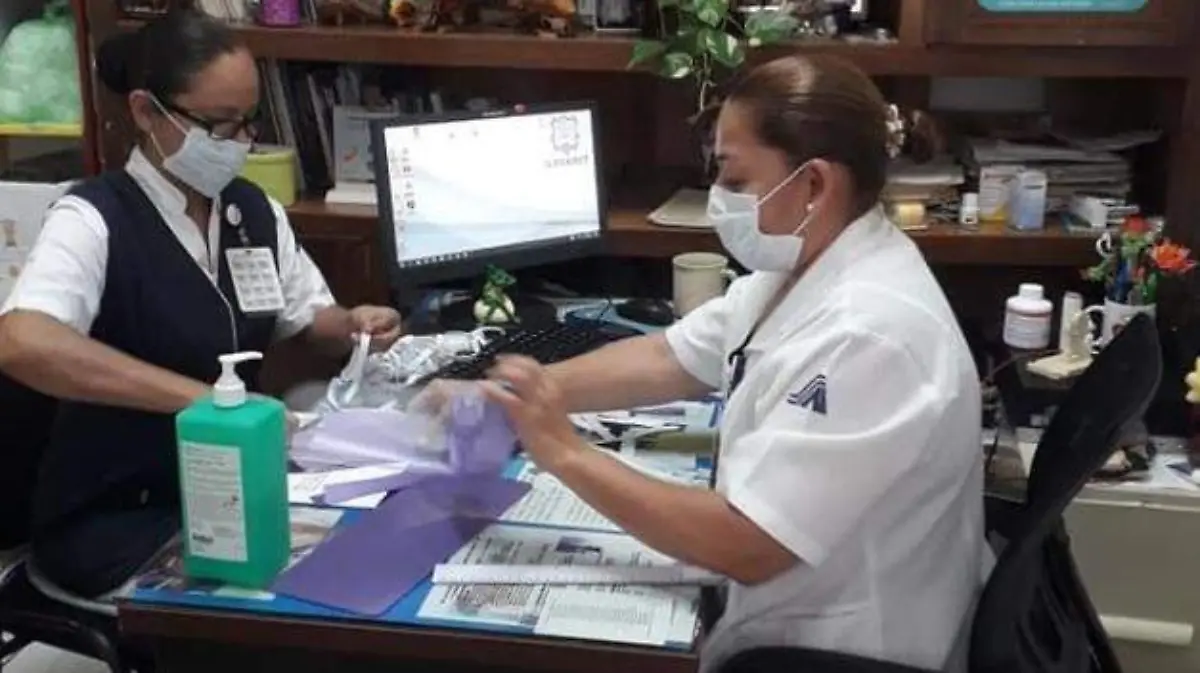 Empleados Sección 31 del Sindicato Nacional de Trabajadores de la Secretaría de Salud (SNTSA)
