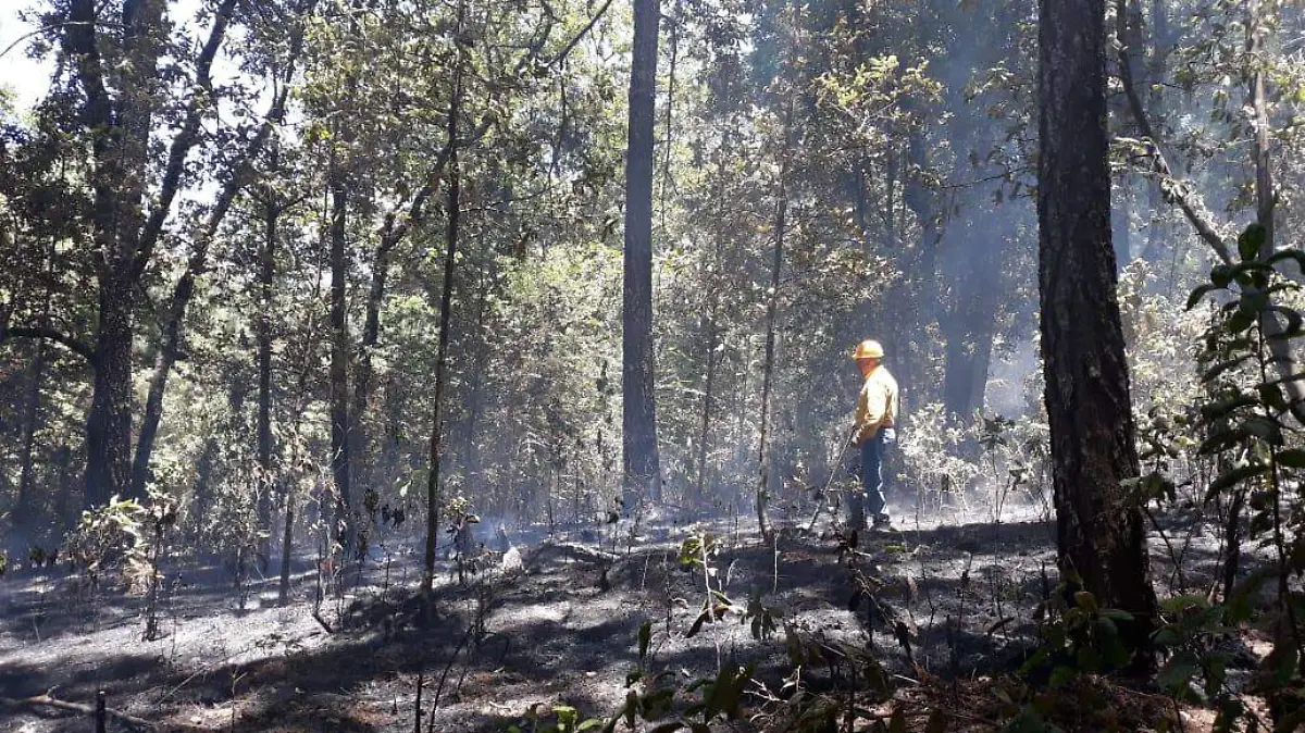 Incendio Primavera