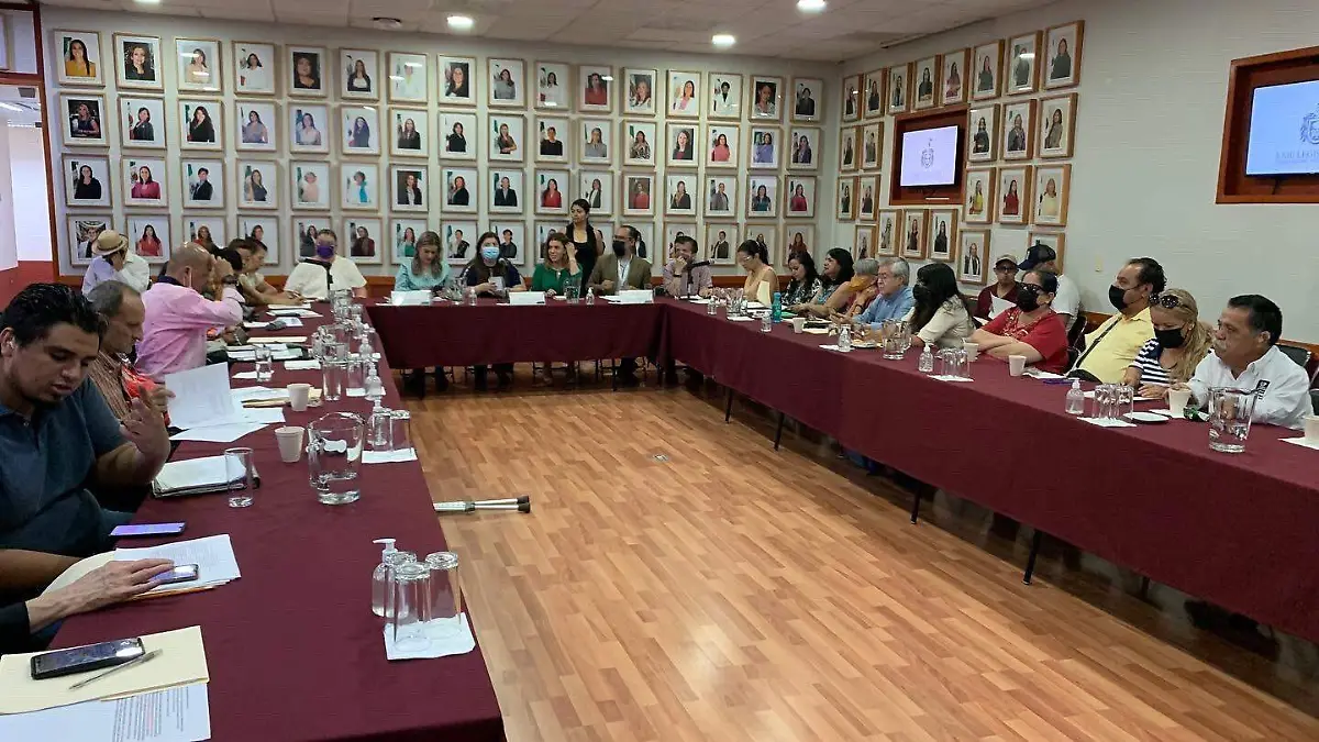 Avanza en el Congreso trabajos en tema de personas con discapacidad