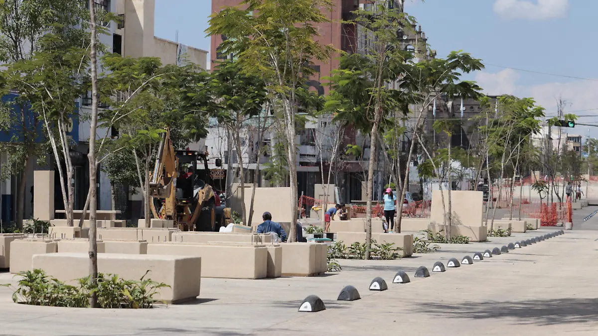 PASEO ALCALDE (5)