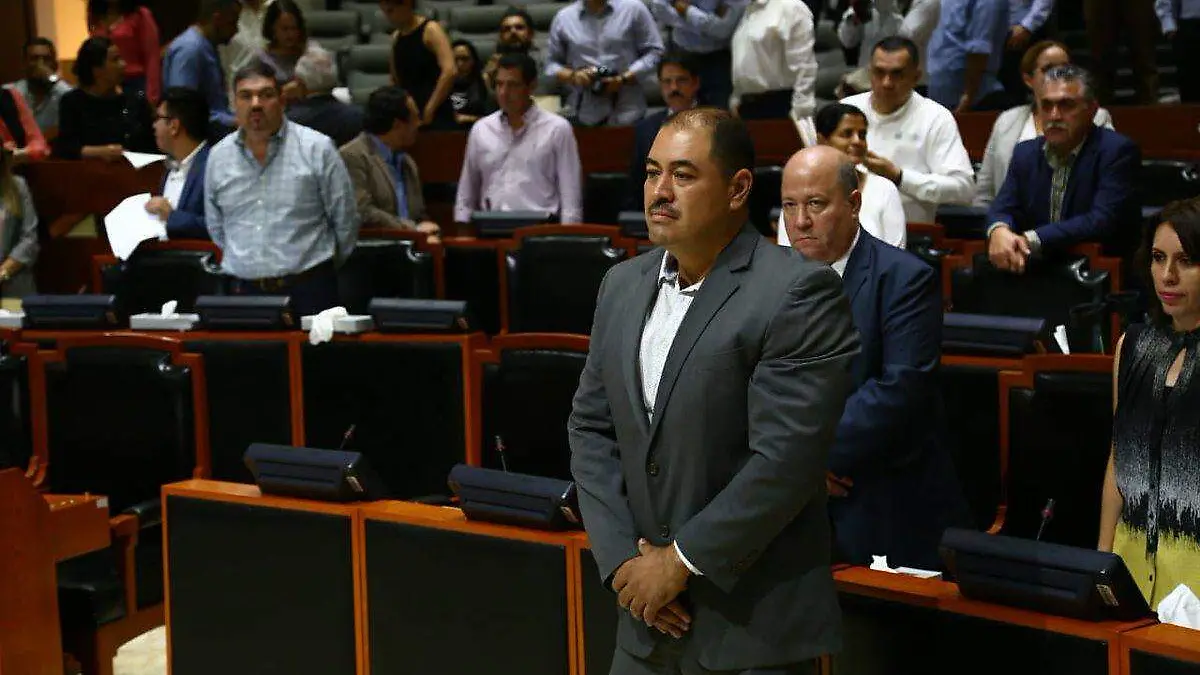 08 diputado