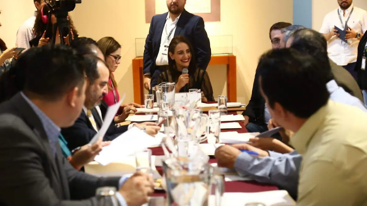 Mariana Fernández transparencia