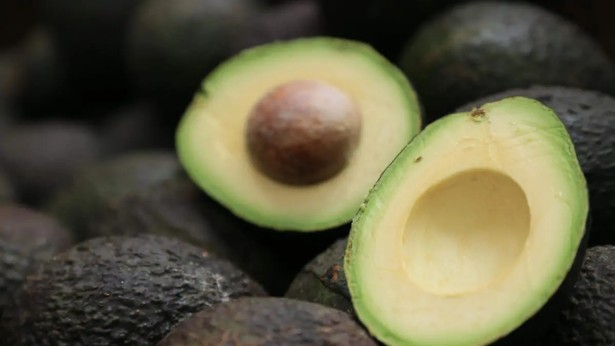 Aguacate mexicano