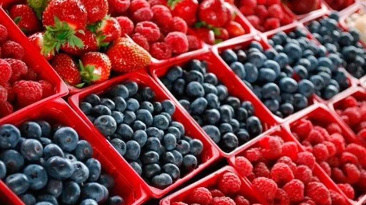 Berries