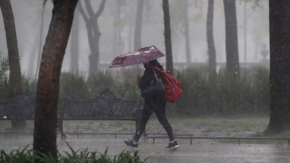 Lluvias cuartoscuro