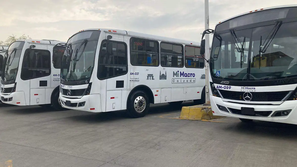 Unidades Mi Macro Calzada