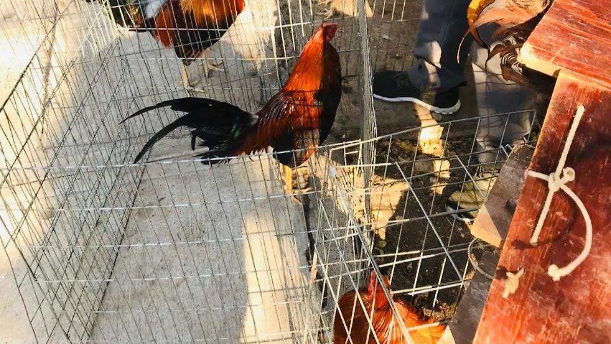 Operatio tianguis El Baratillo