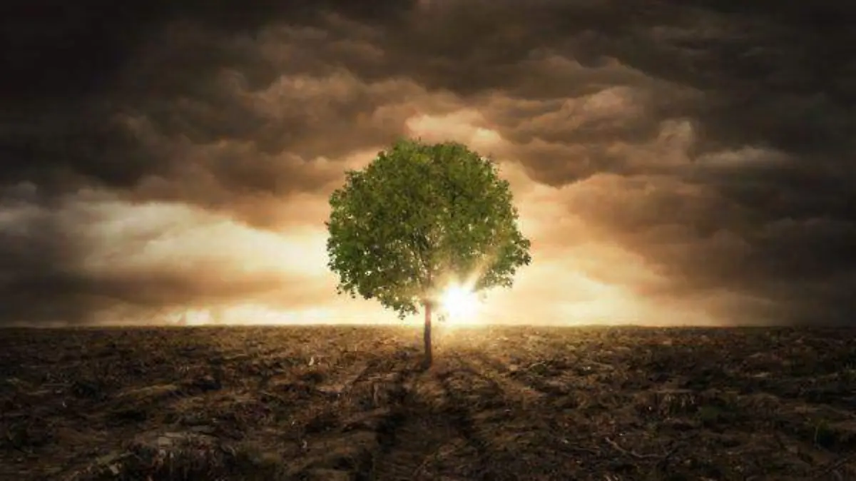 ozono-apertura-600x395