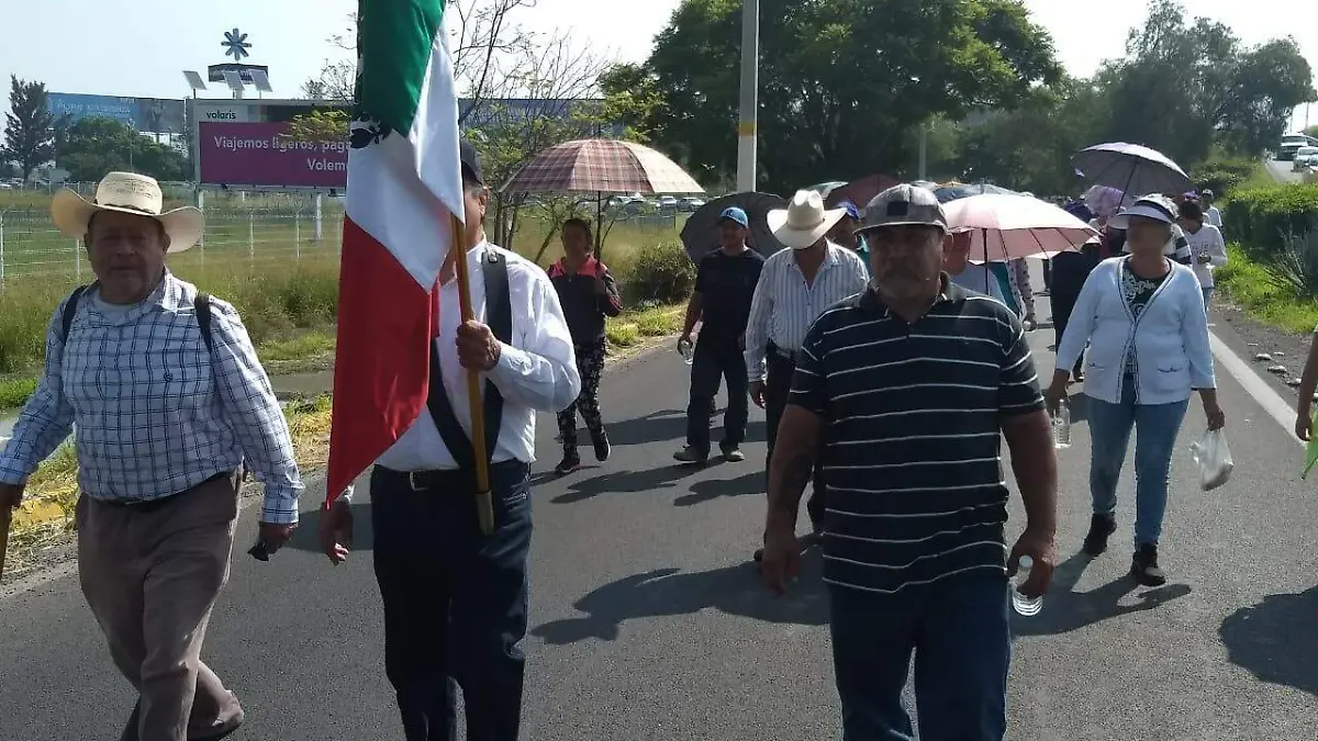 manifestacion de El Ejido 2