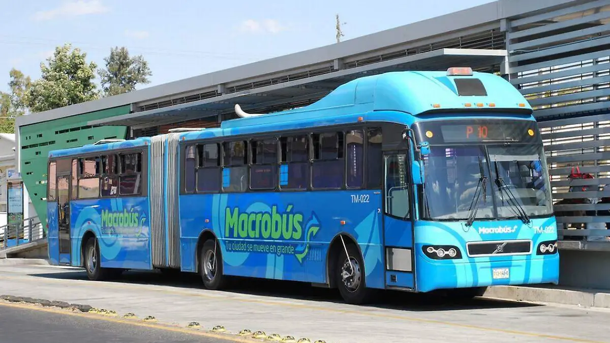 Macrobus