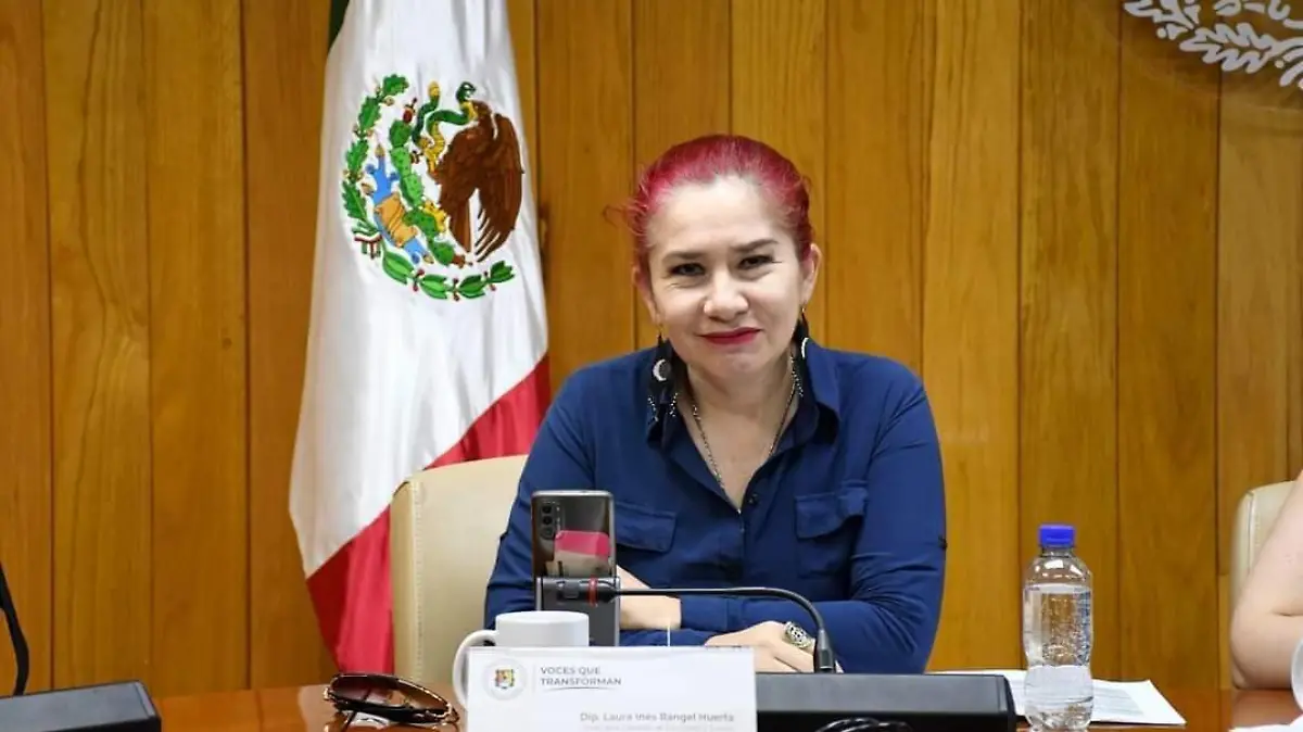Diputada Laura Rangel