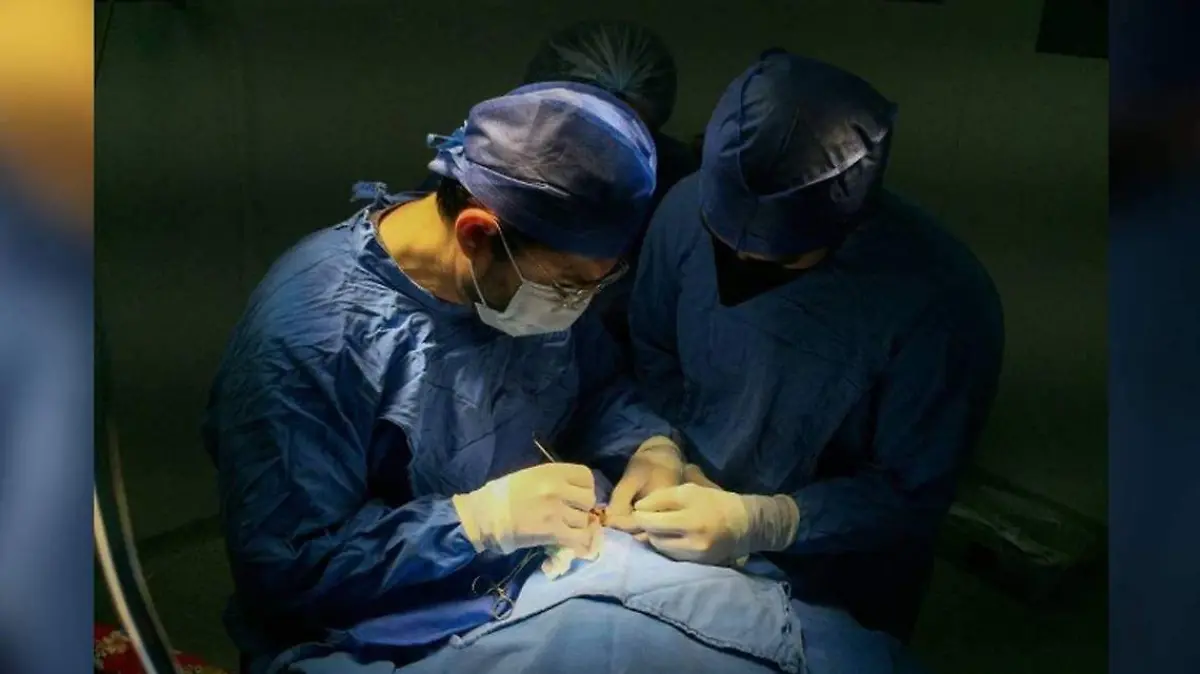 Donación de órganos