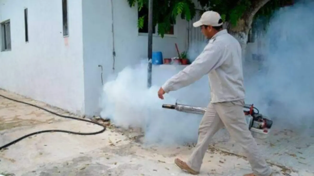 Insecticida