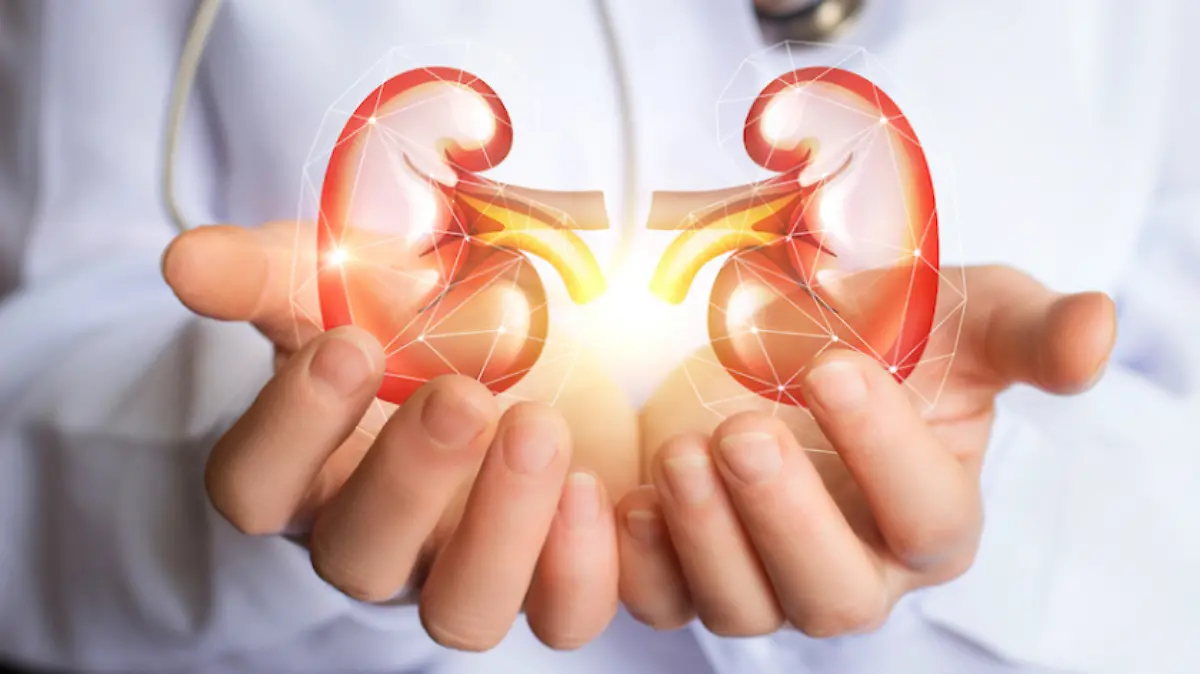 Insuficencia renal