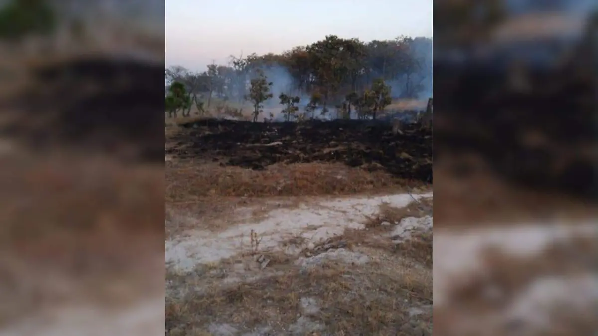 Incendio bosque del Nixticuil