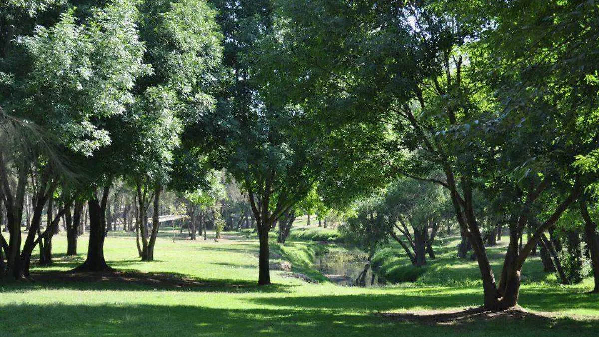Parque de la solidaridad