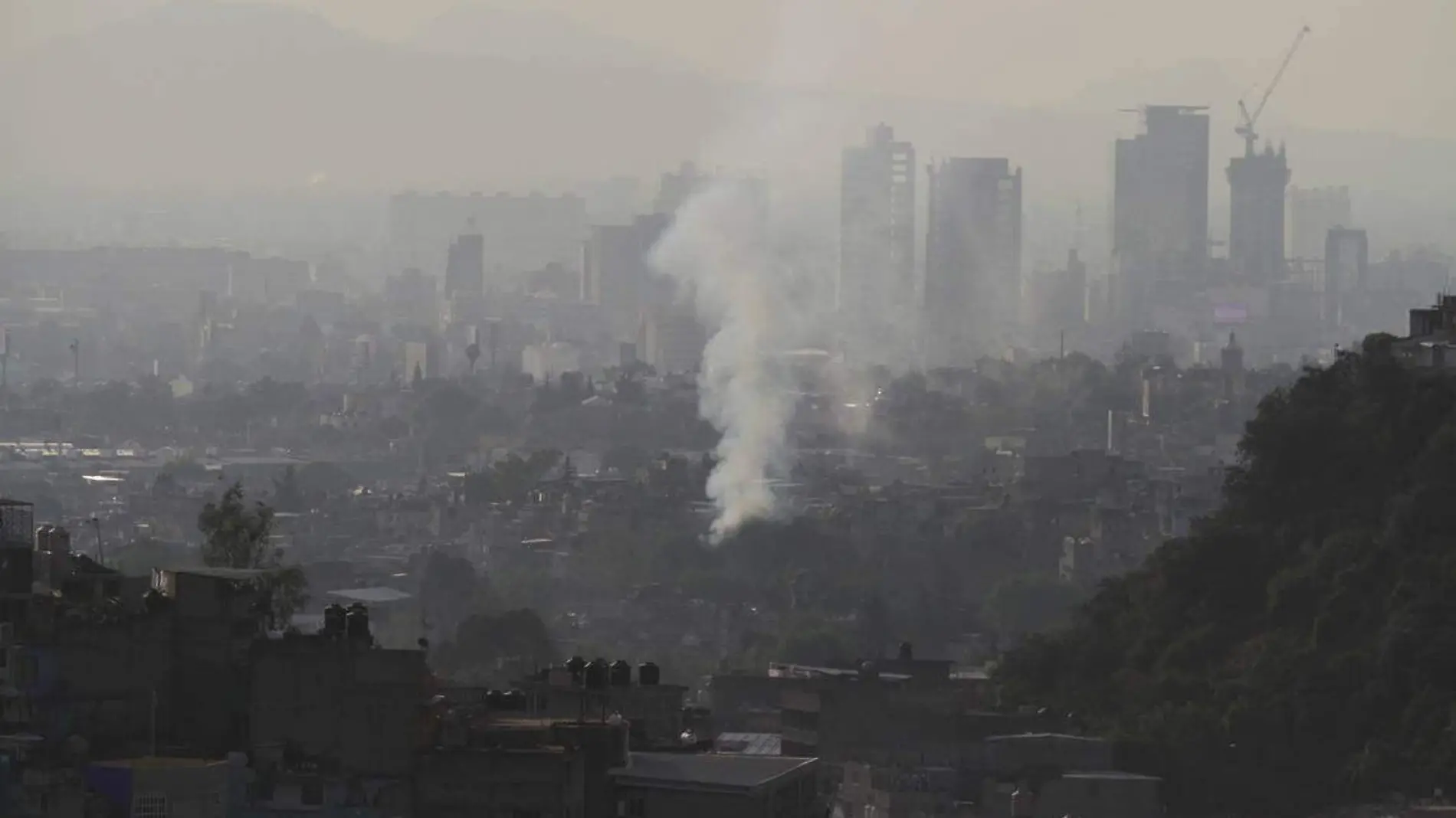 Contaminación