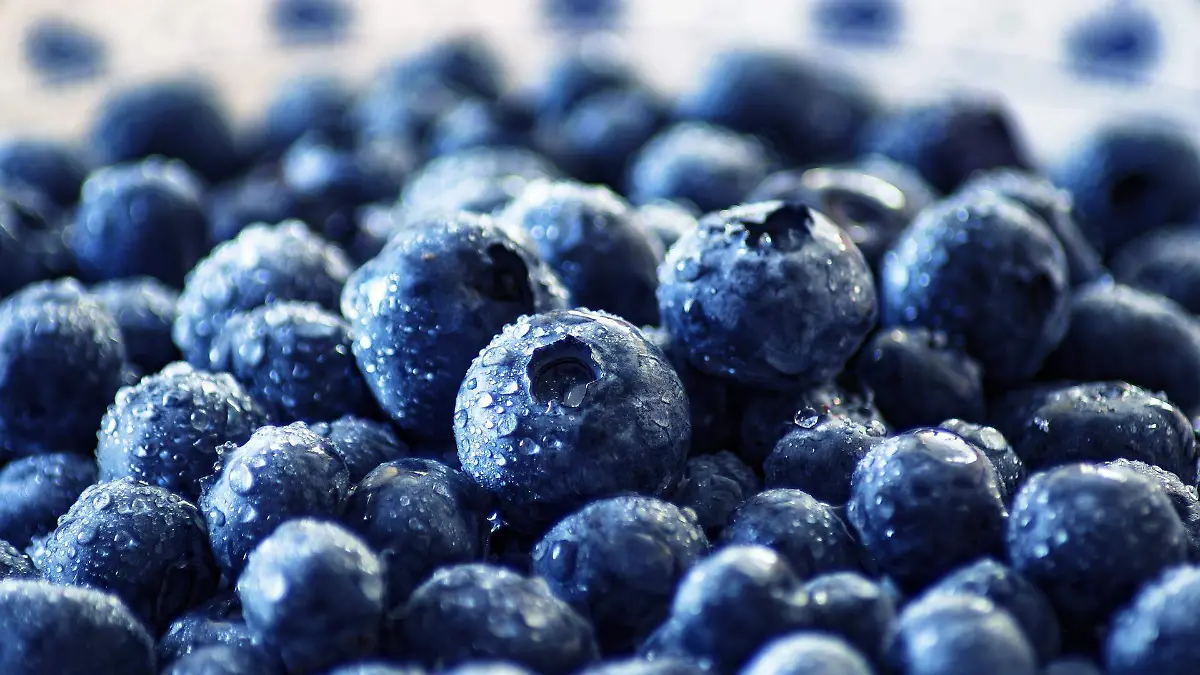 blueberries-3460423_1920