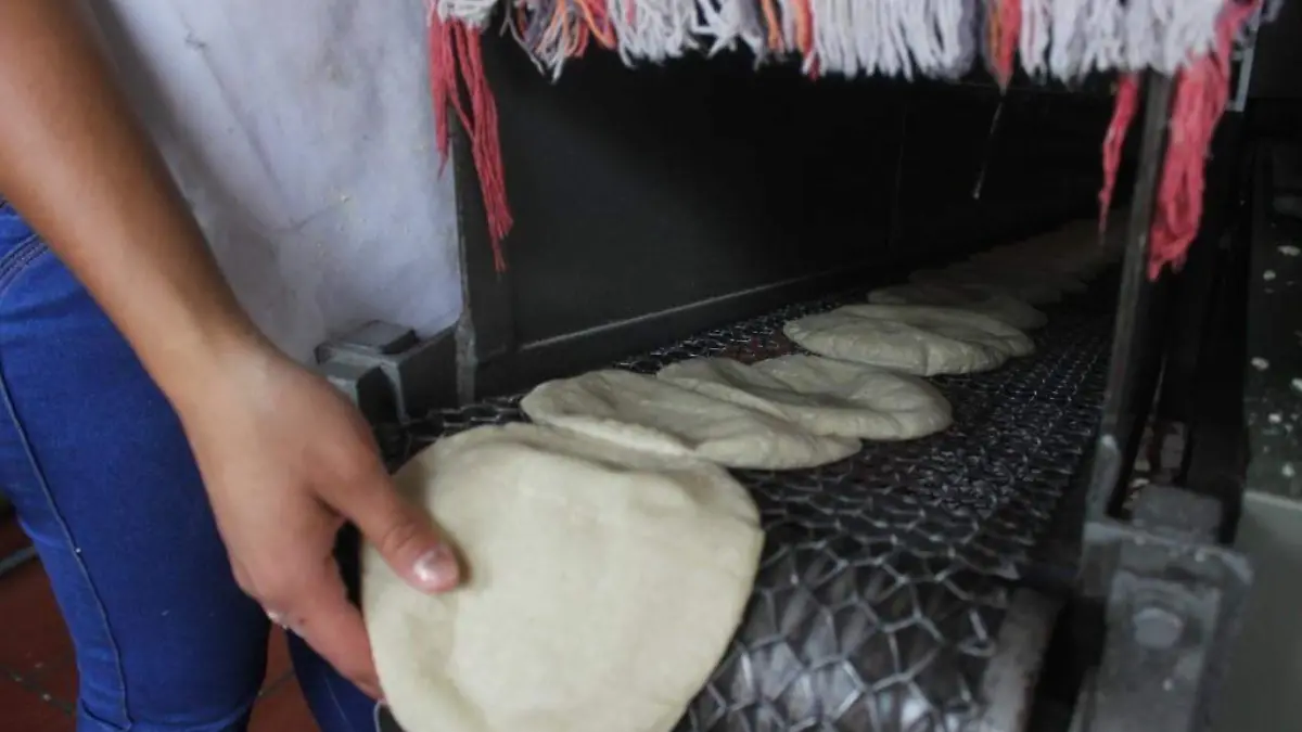 Producción tortillas