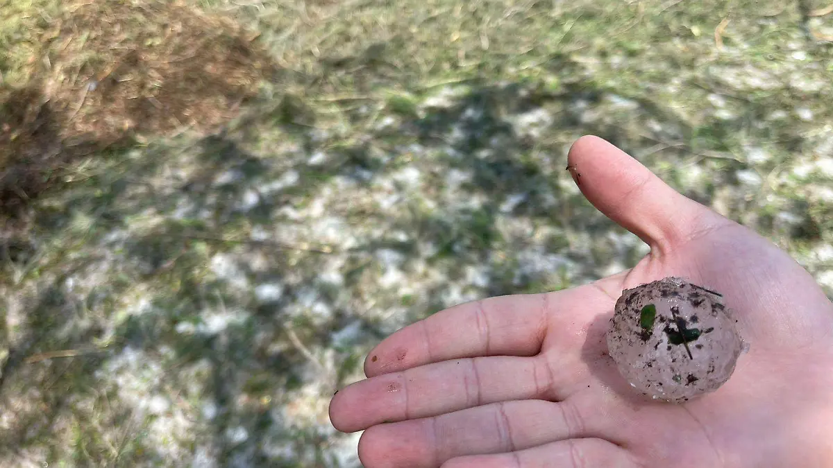 Granizada daña sembradíos en Zapotlanejo