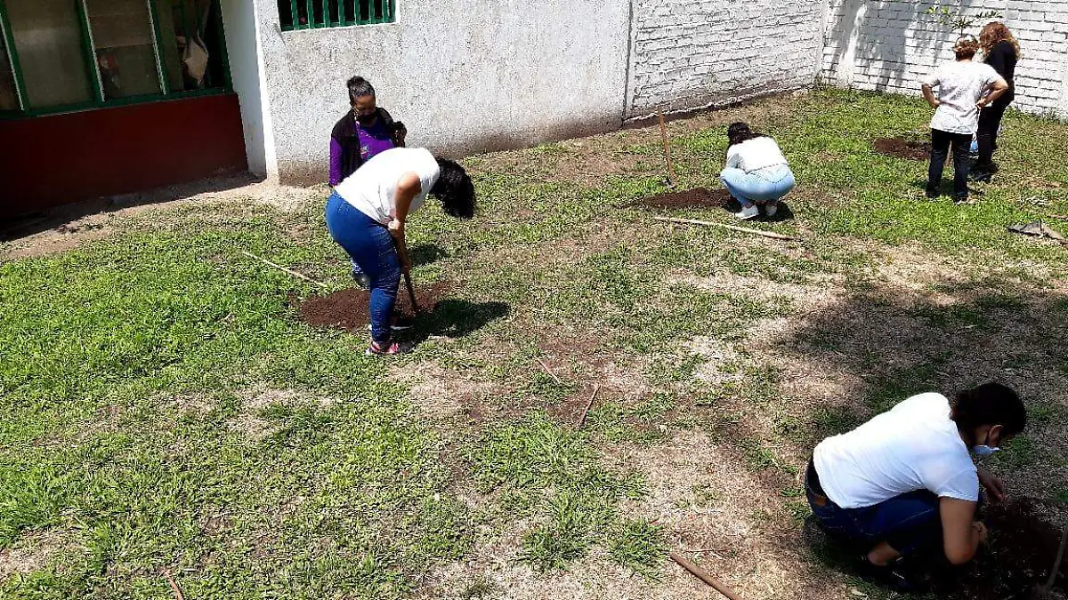 Menores Cocydej reforestación