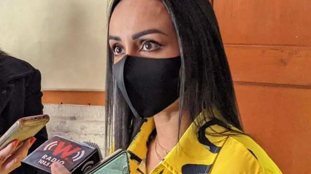 Diputada Claudía Murguía