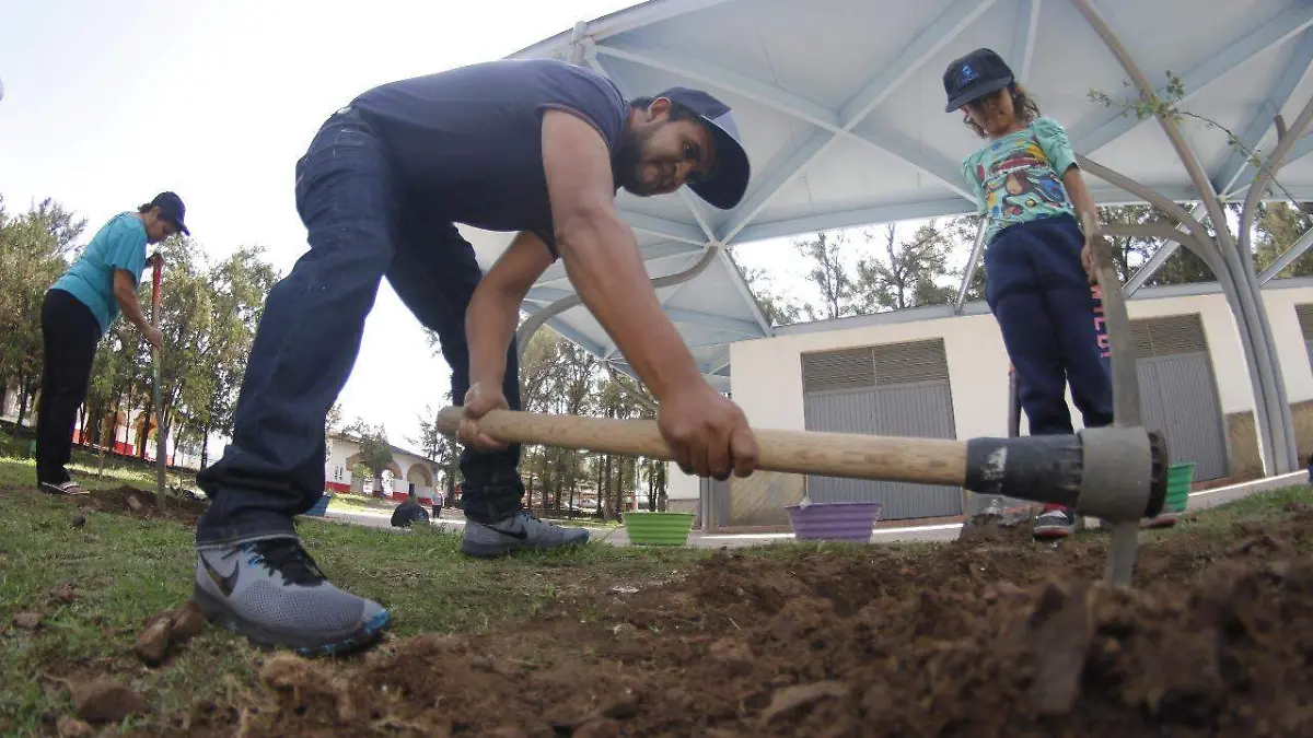 reforestacion parque montenegro (10)