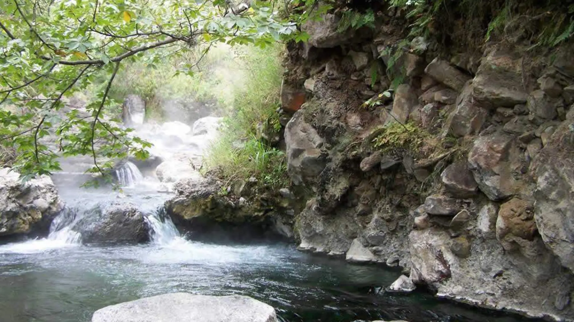 Bosque-La-Primavera-Guadalajara-y-Zapopan