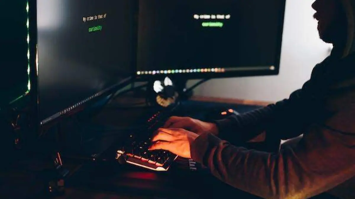 Fraude cibernético Pexels