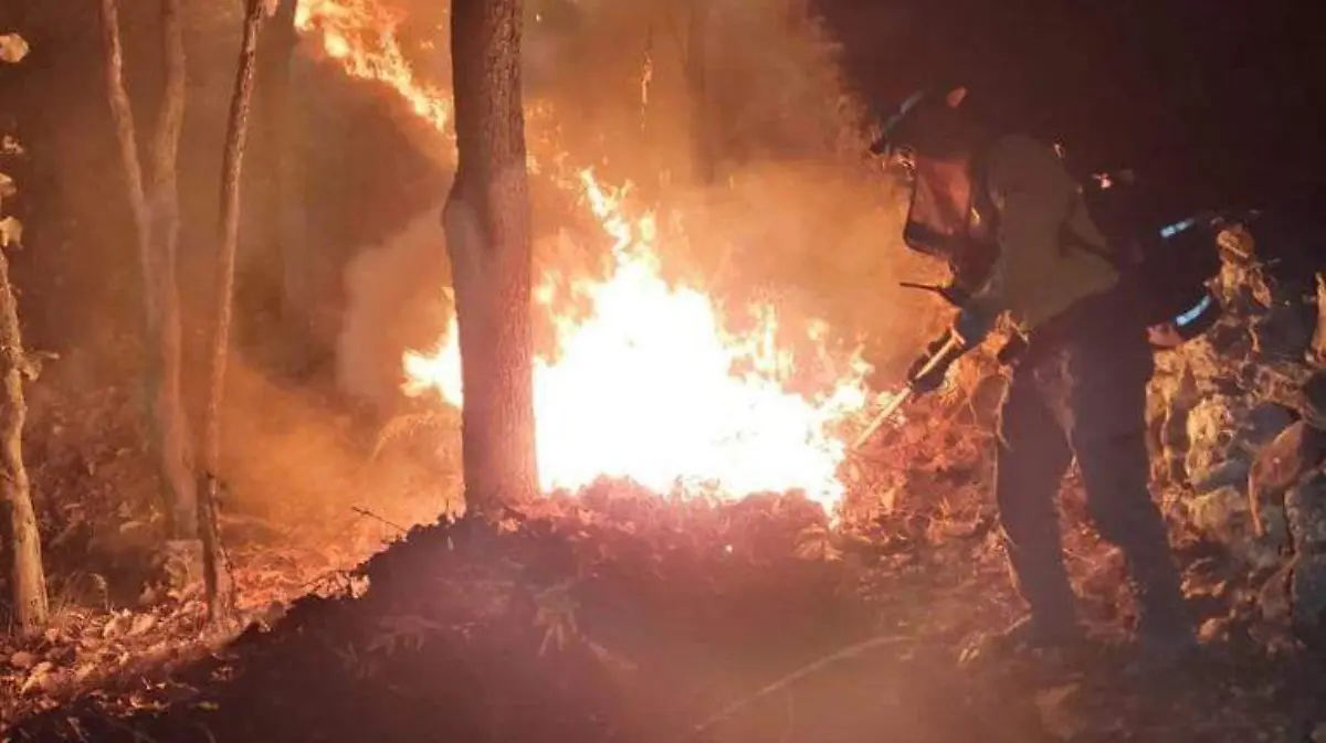 Incendio ANP Bosque de la Primavera