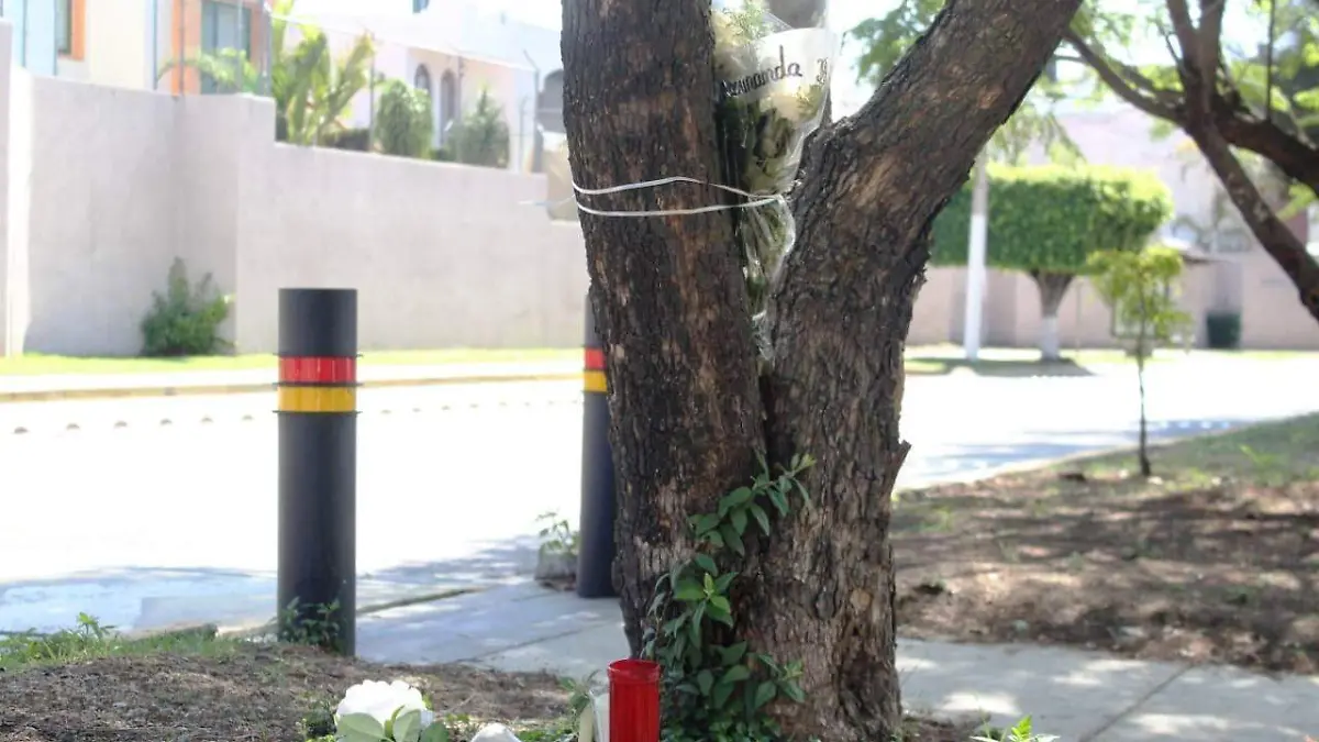 arbol-aurelio-accidente-joao