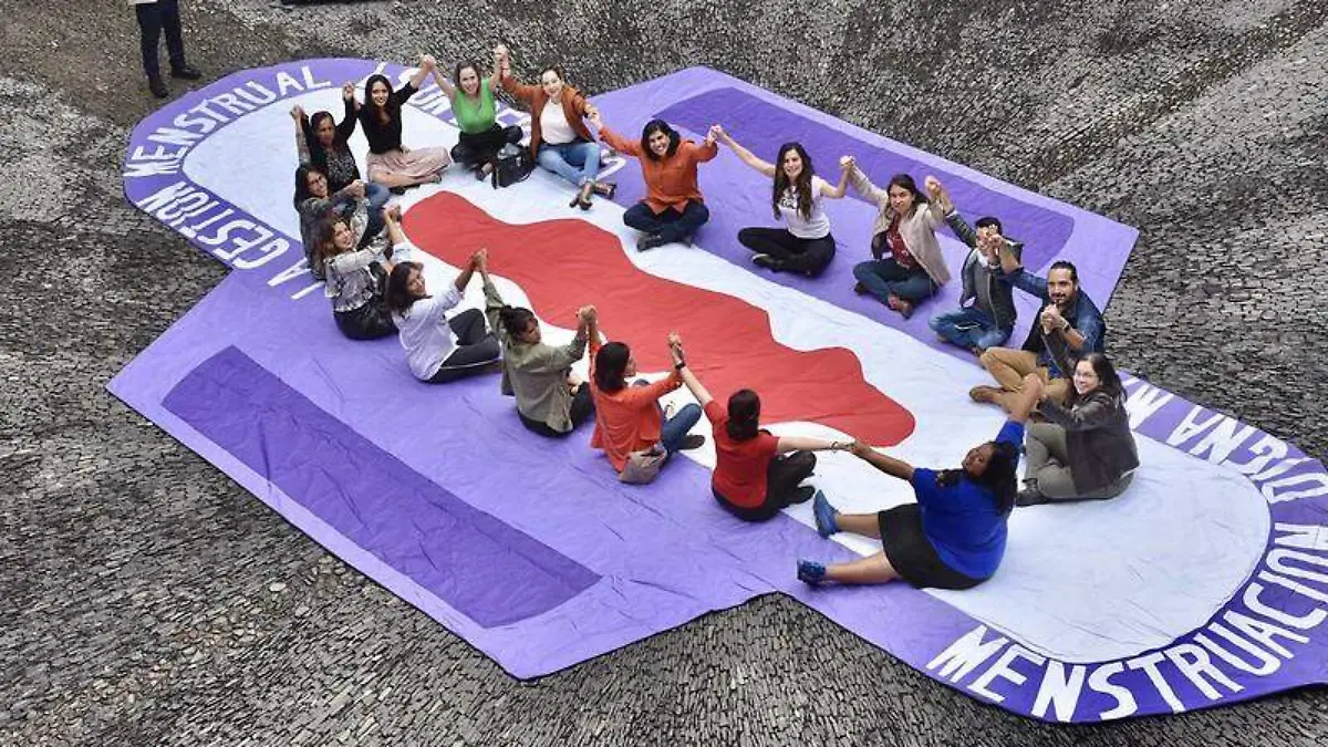 52322231051_87bf1827b9_c