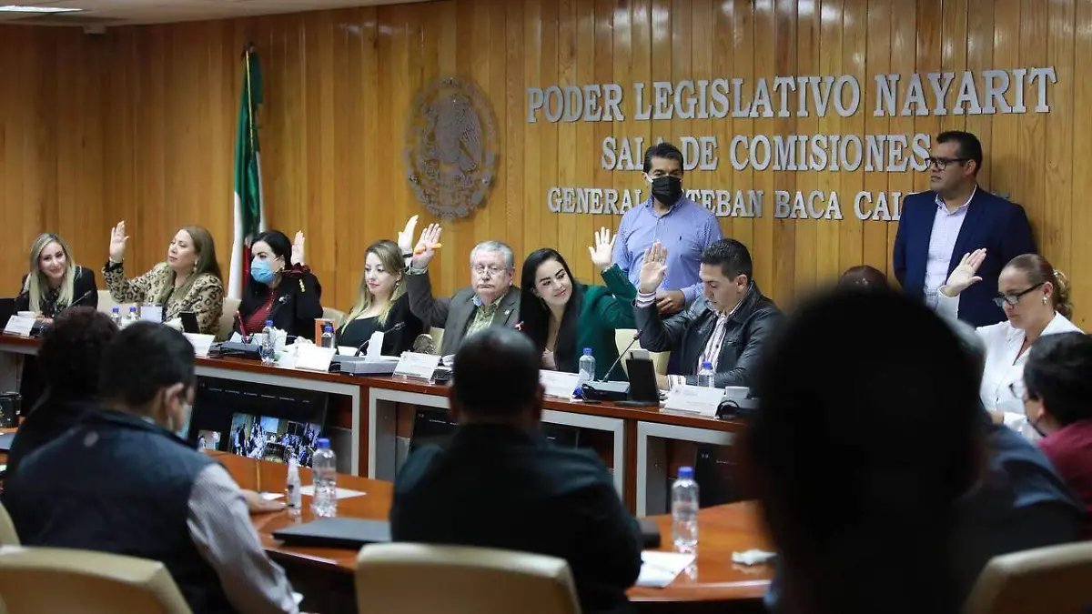 Diputados Tepic