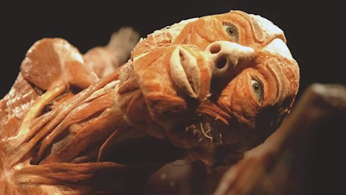 our-body-exposicion-rostro-medium