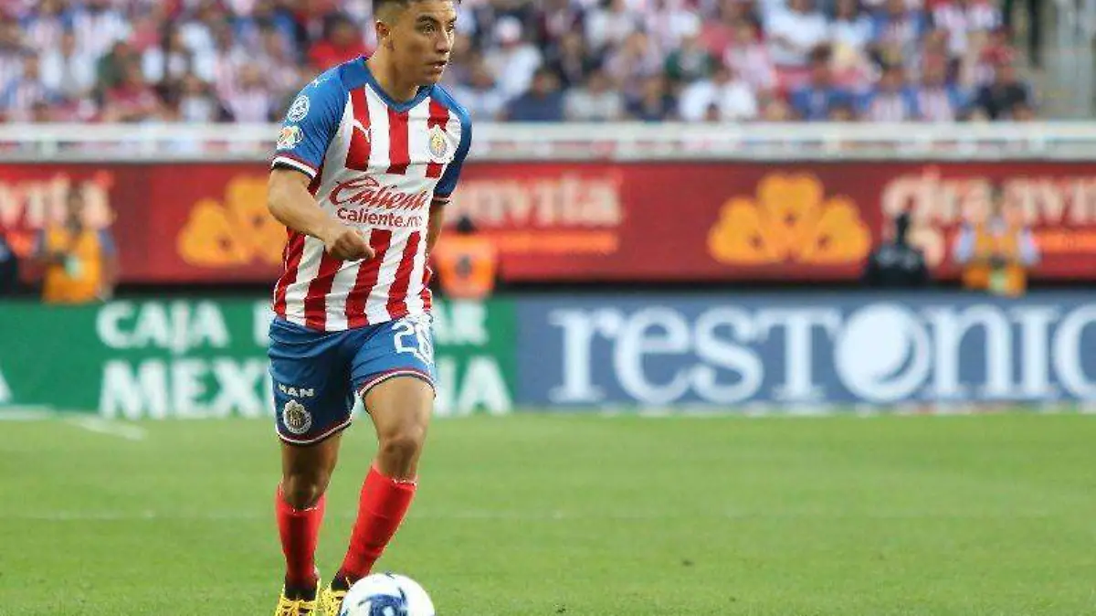 Fernando Beltrán