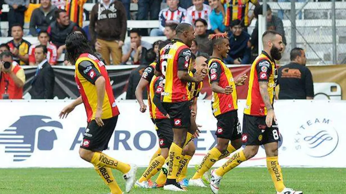 leones-negros-1