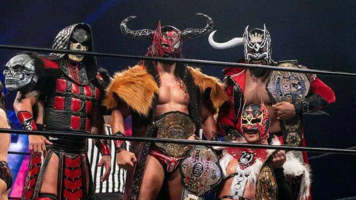 Función de Lucha Libre