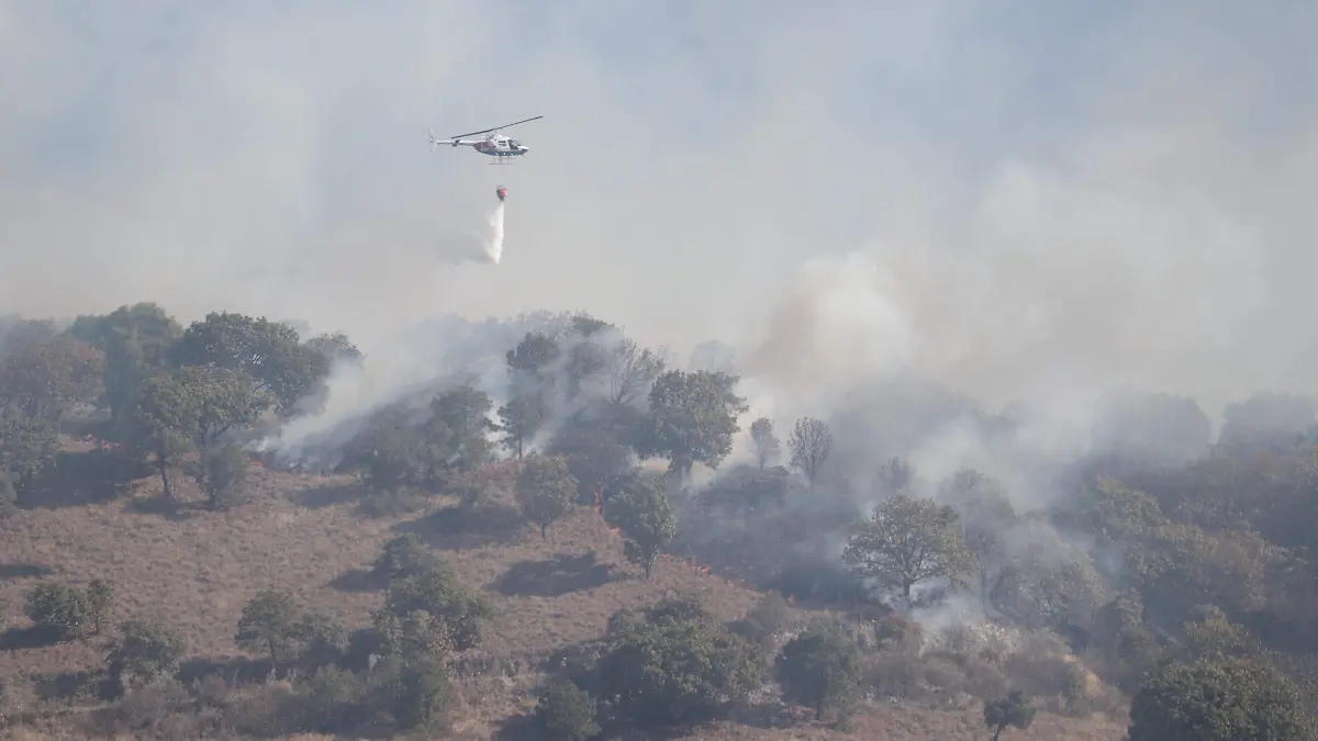 Foto MIRAMONTES INCENDIO en LA PRIMAVERA (7)