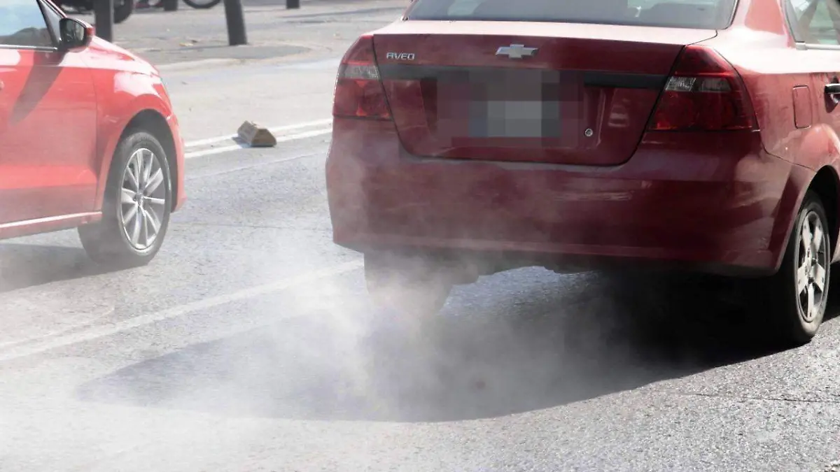 Verificación vehicular