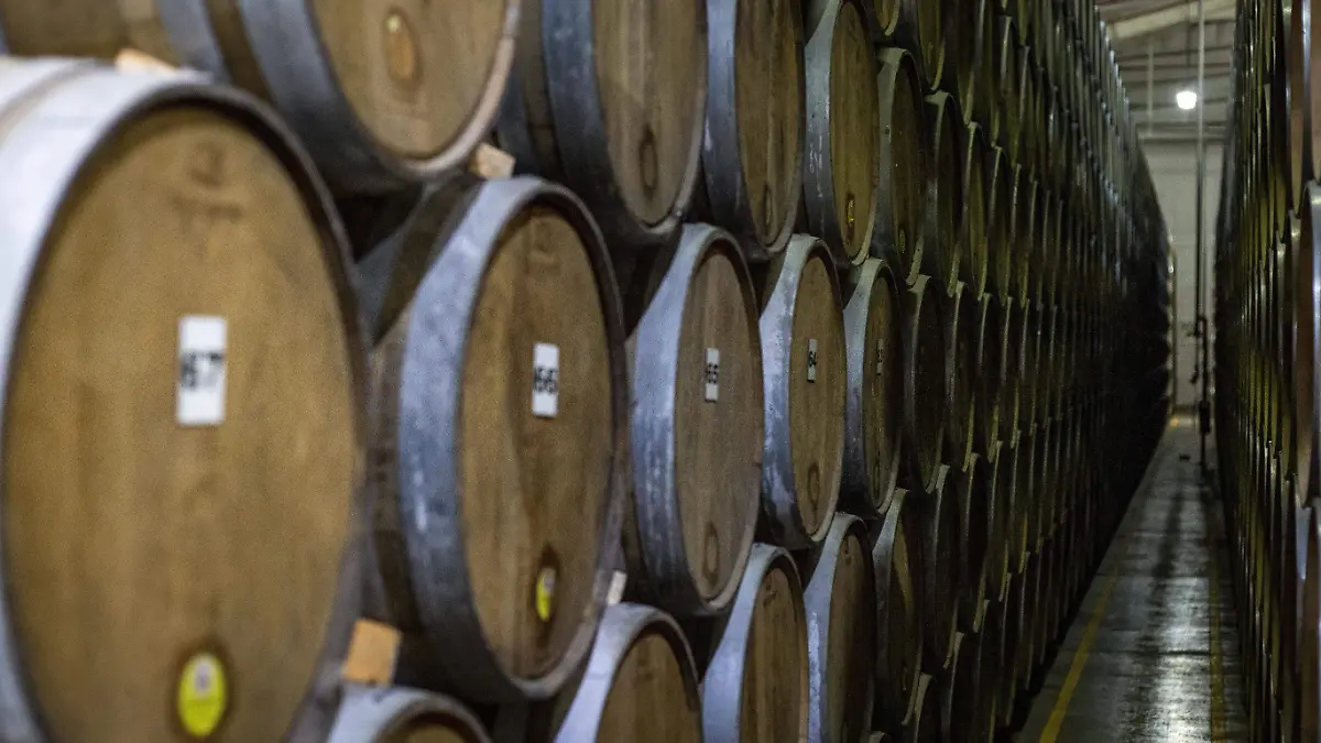 Barrica de Tequila Agave Foto. Francisco Rodríguez