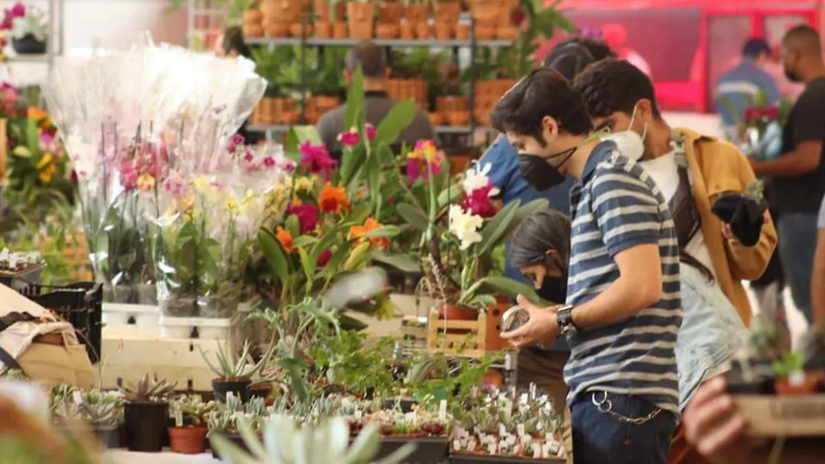 Flores y Colores de México