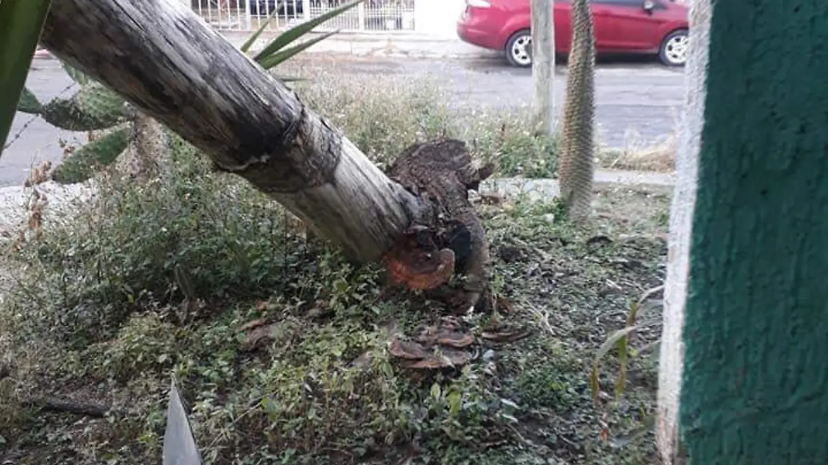 WhatsApp Image 2020-01-03 at 11.17.13 (2)