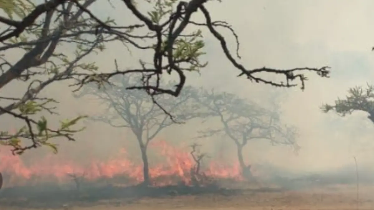 incendio-los-volcanes