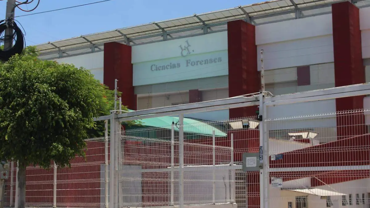 semefo_ciencias forenses