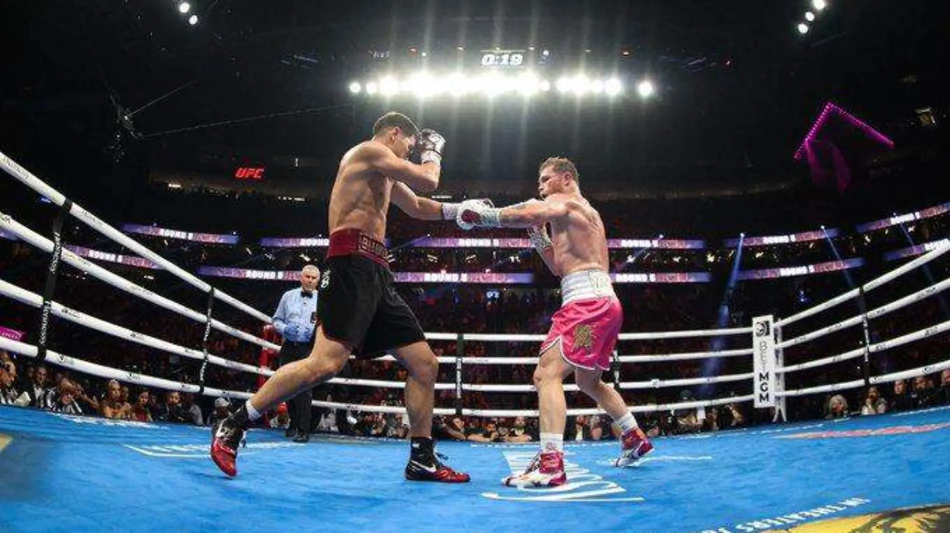 pelea-canelo2