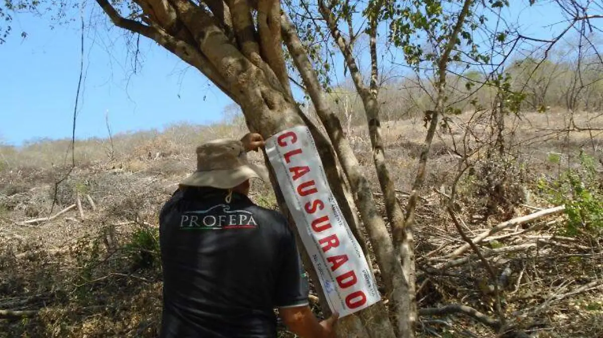 uso de suelo