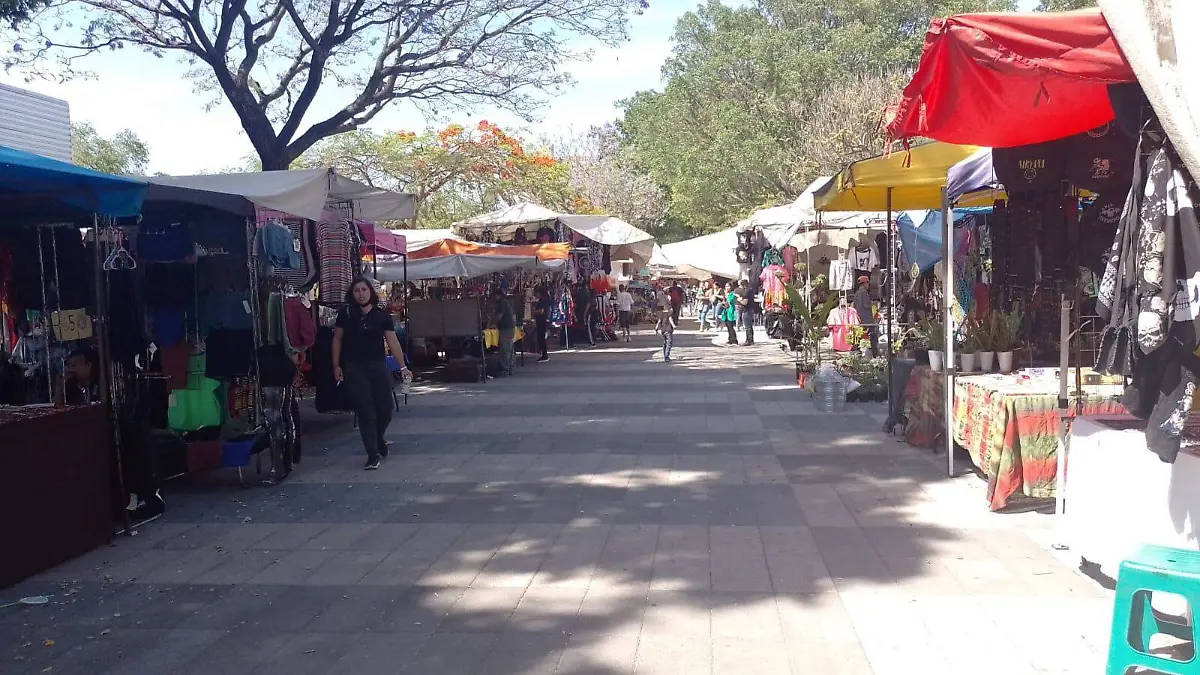 Tianguis Cultural-1