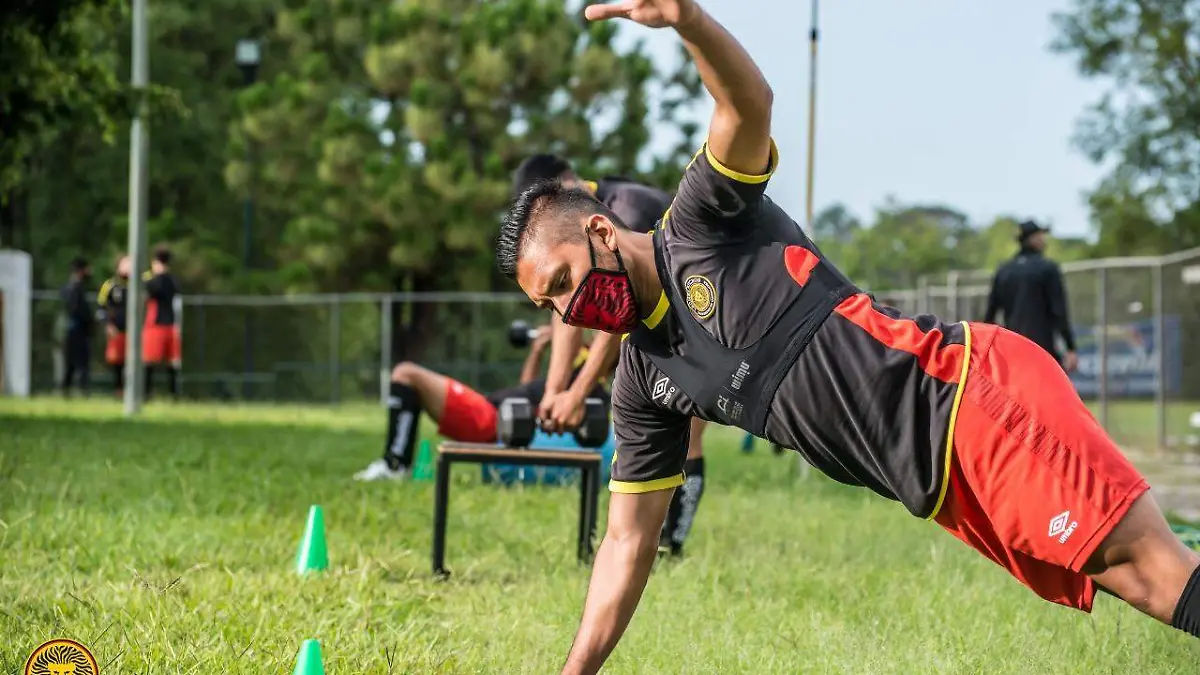 Leones Negros